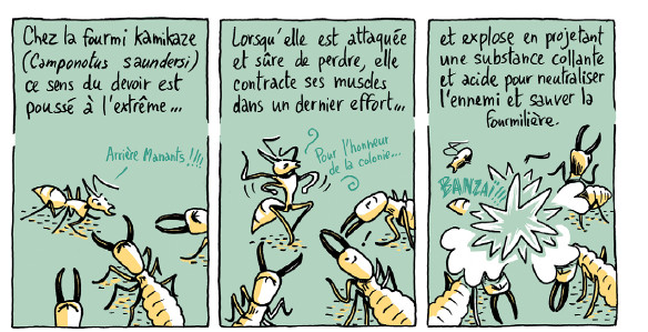 Résultat de recherche d'images pour "la guerre des fourmis BD"