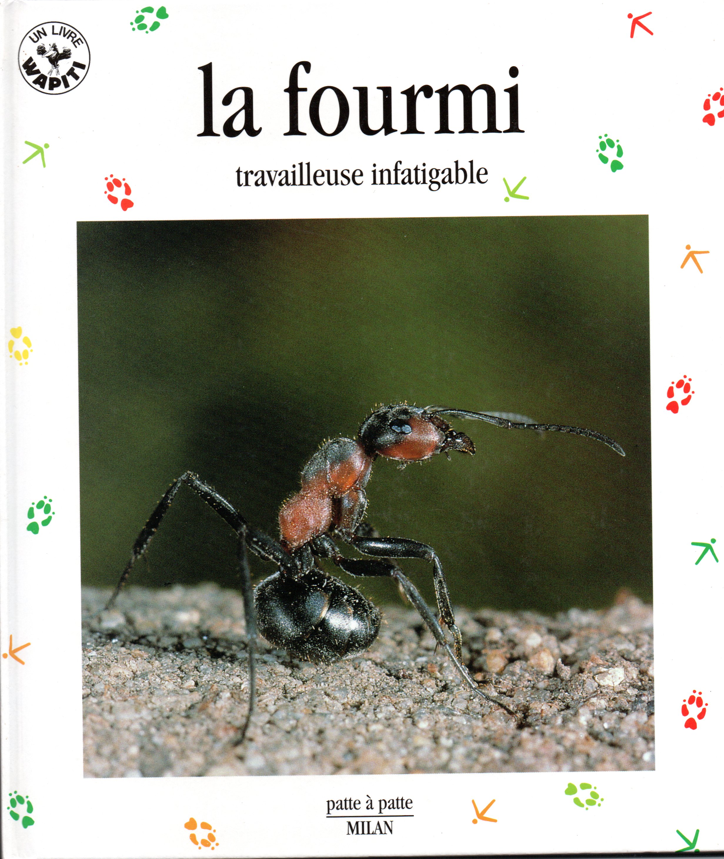 La fourmi travailleuse infatigable